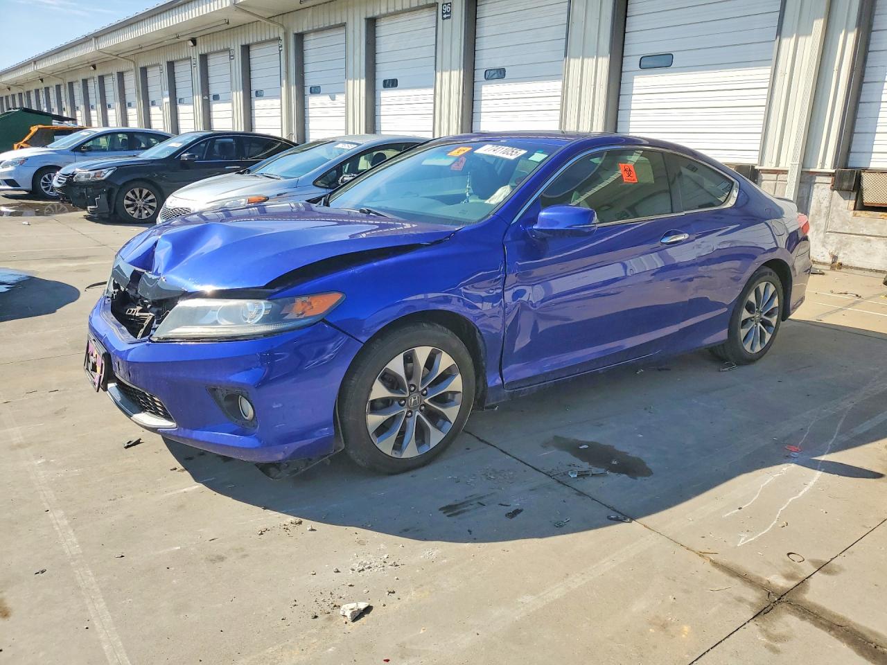 Salvage Honda Accord Image