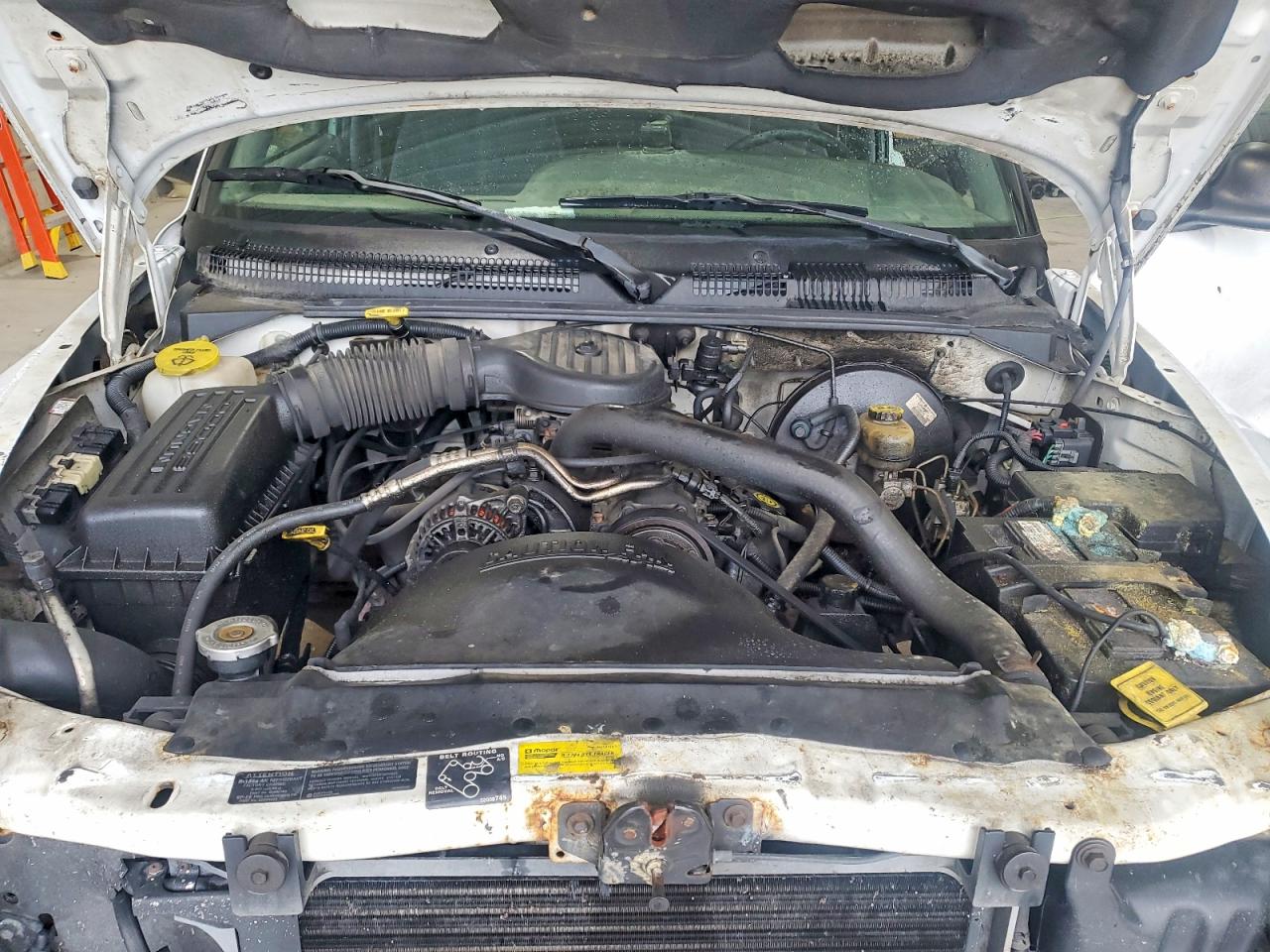 Dodge Dakota