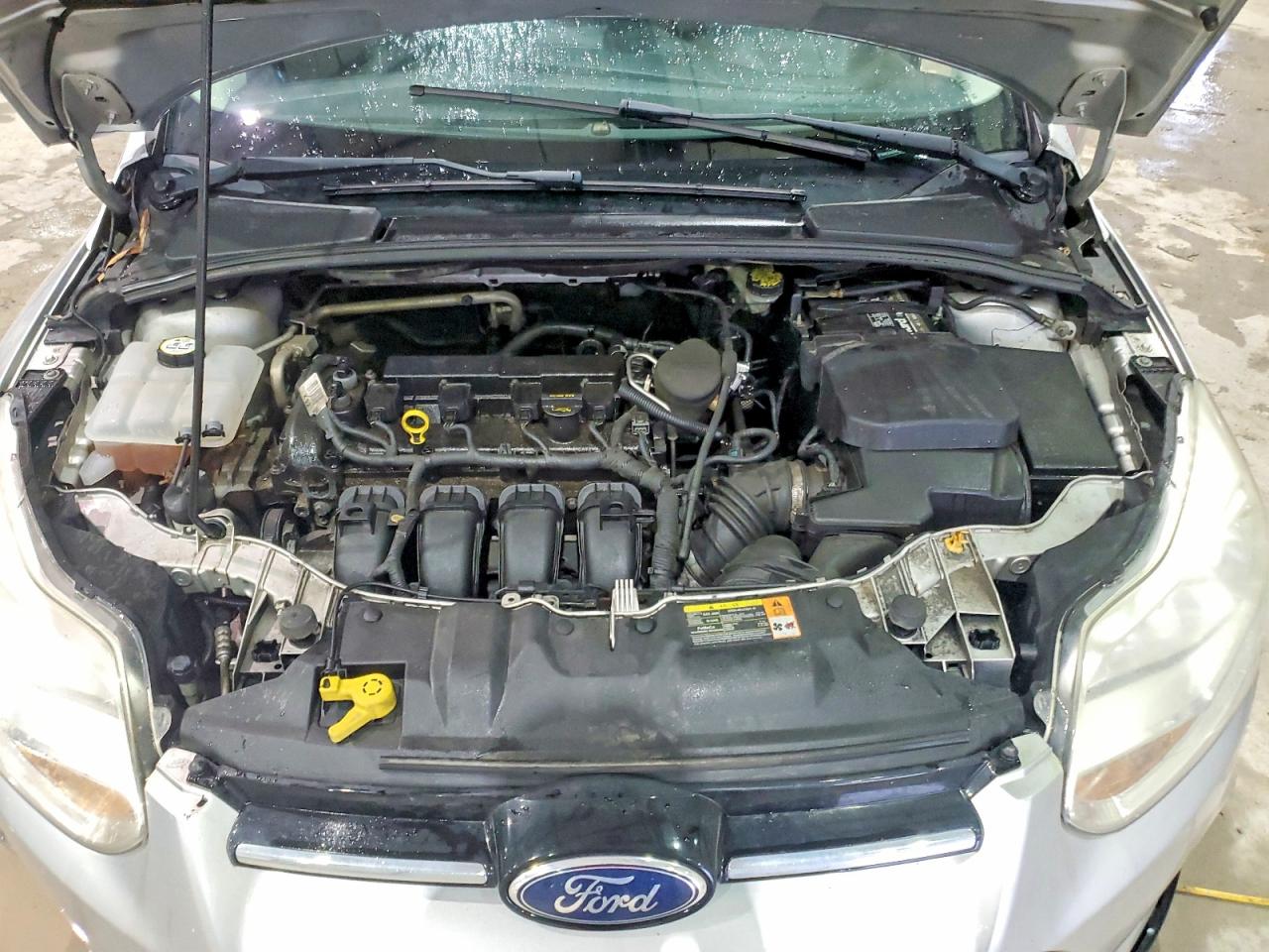 Ford Focus Sel