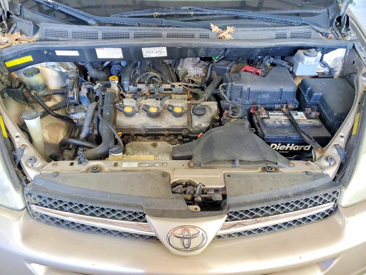 Toyota Sienna