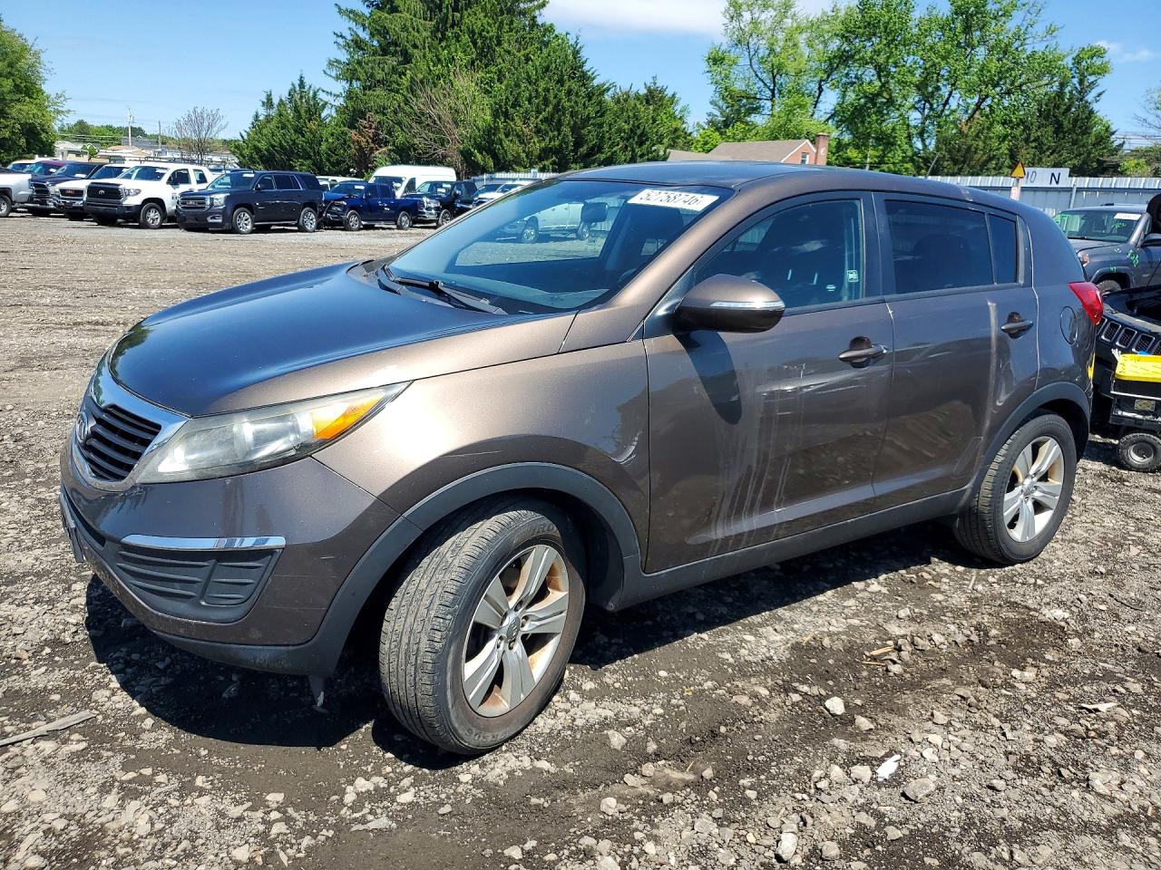 Salvage Kia Sportage Image