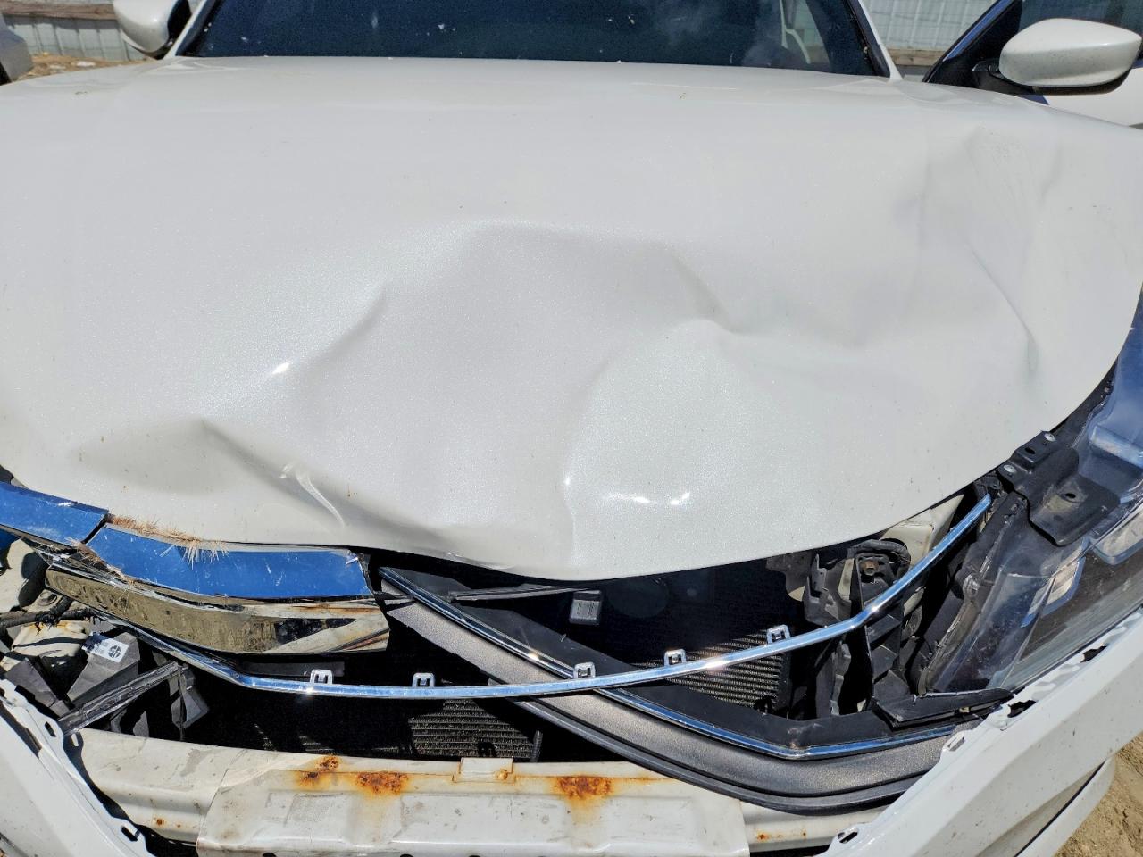 Honda Accord Sport Special Edition