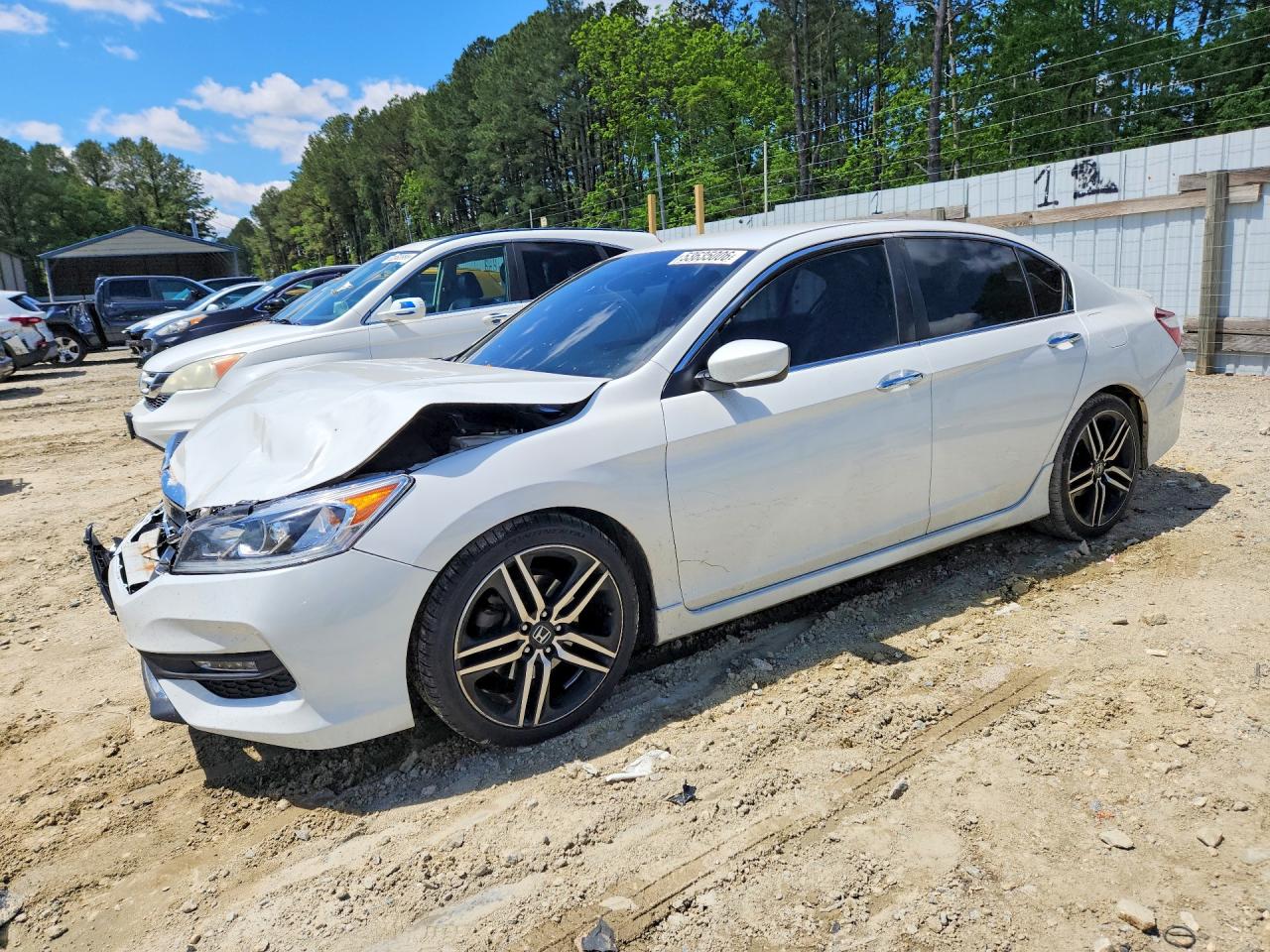 Salvage Honda Accord Image