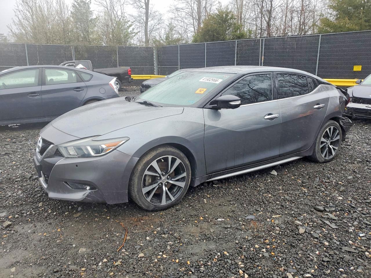 Salvage Nissan Maxima Image