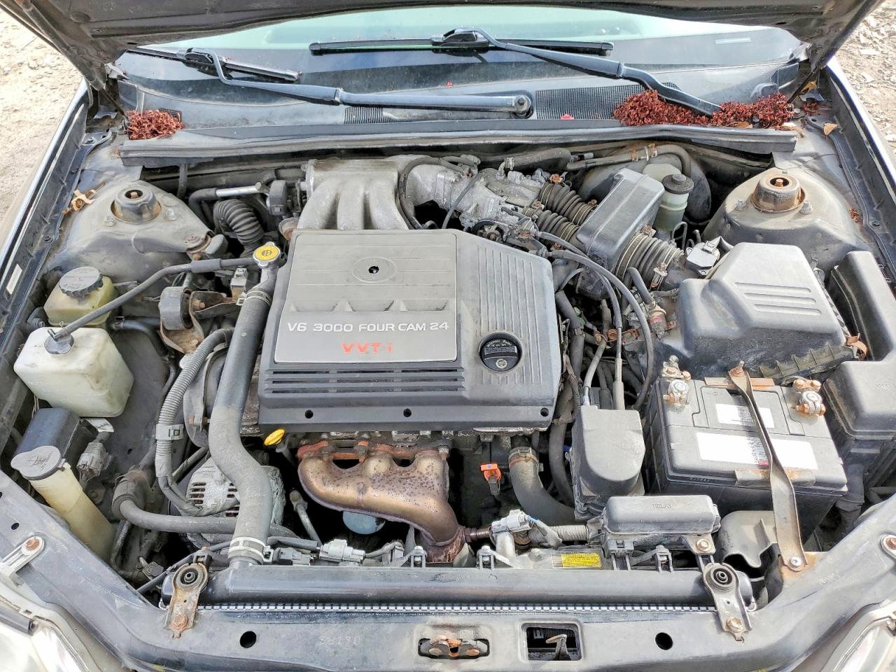 Toyota Avalon Xls