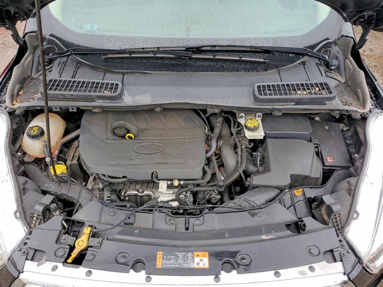 Ford Escape Se