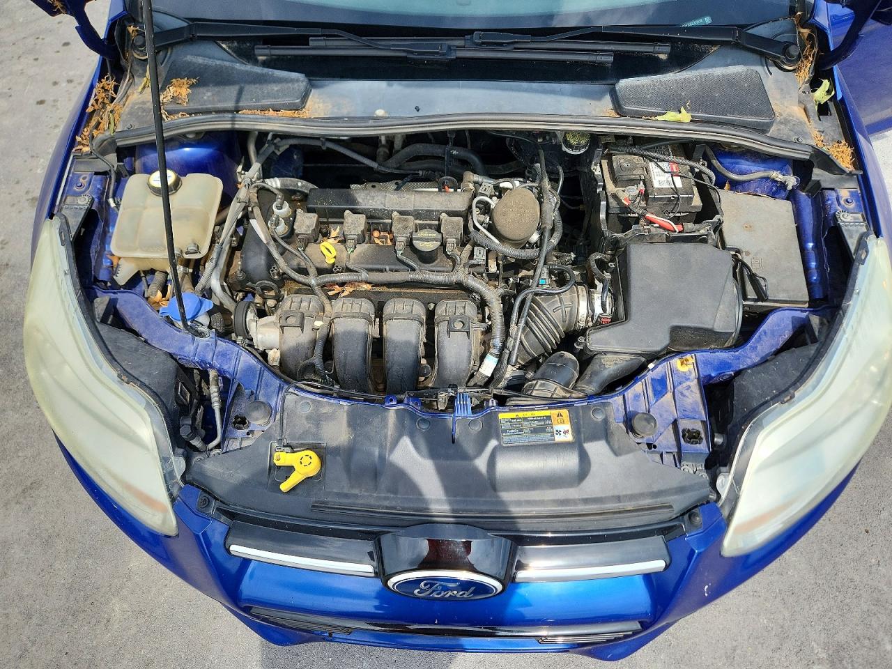 Ford Focus Se