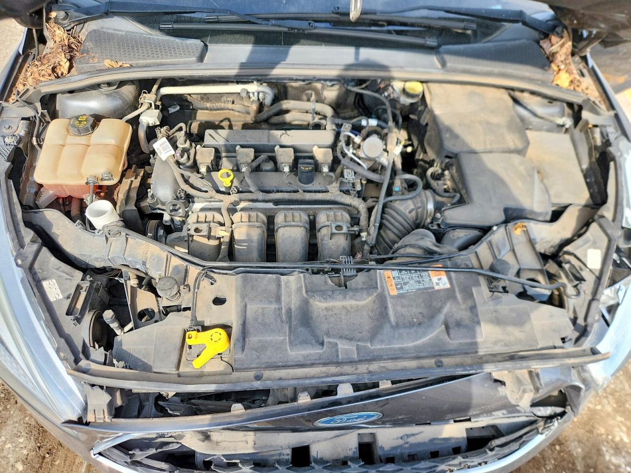 Ford Focus Se