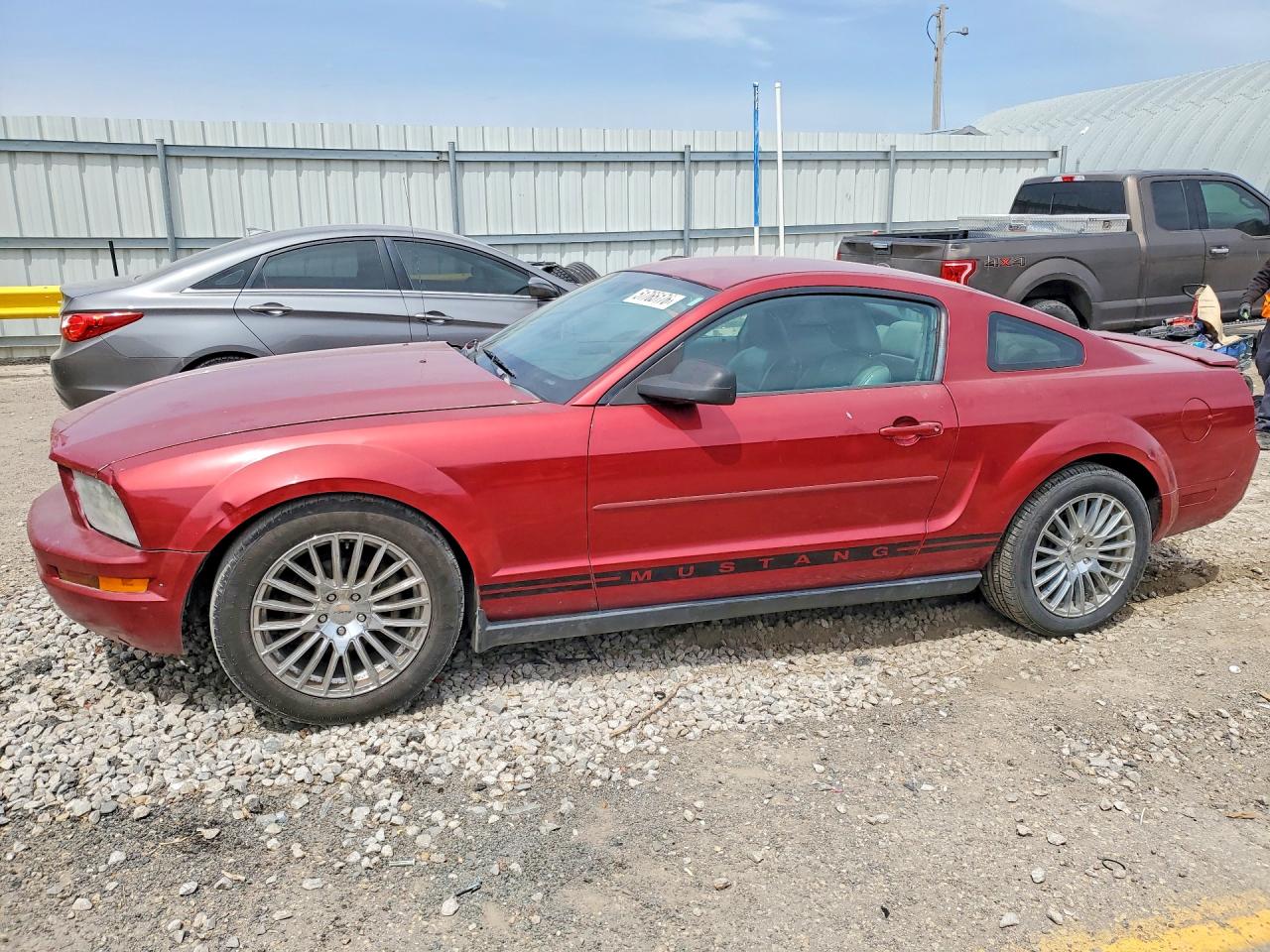 Salvage Ford Mustang Image