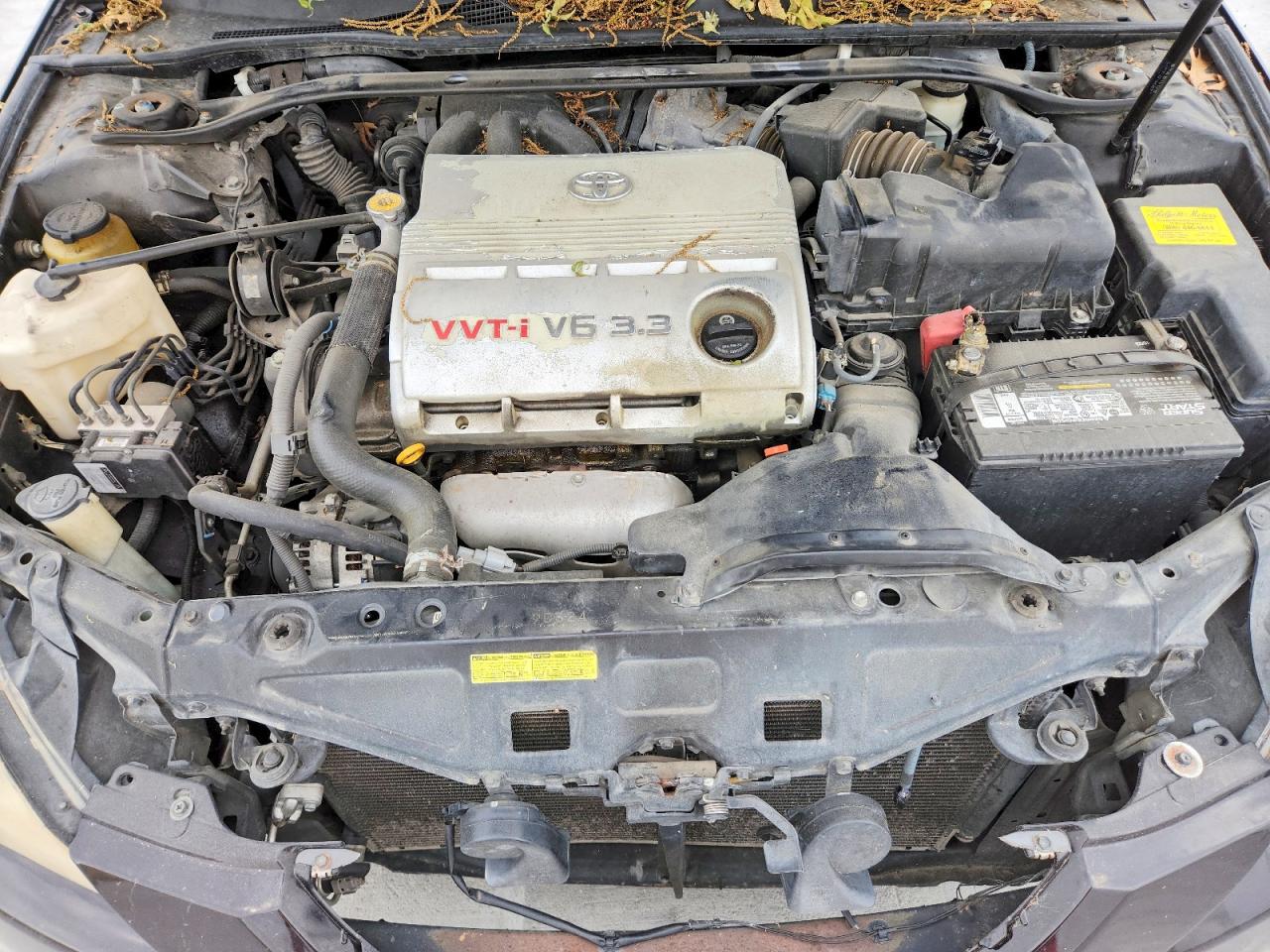 Toyota Camry Sle V6