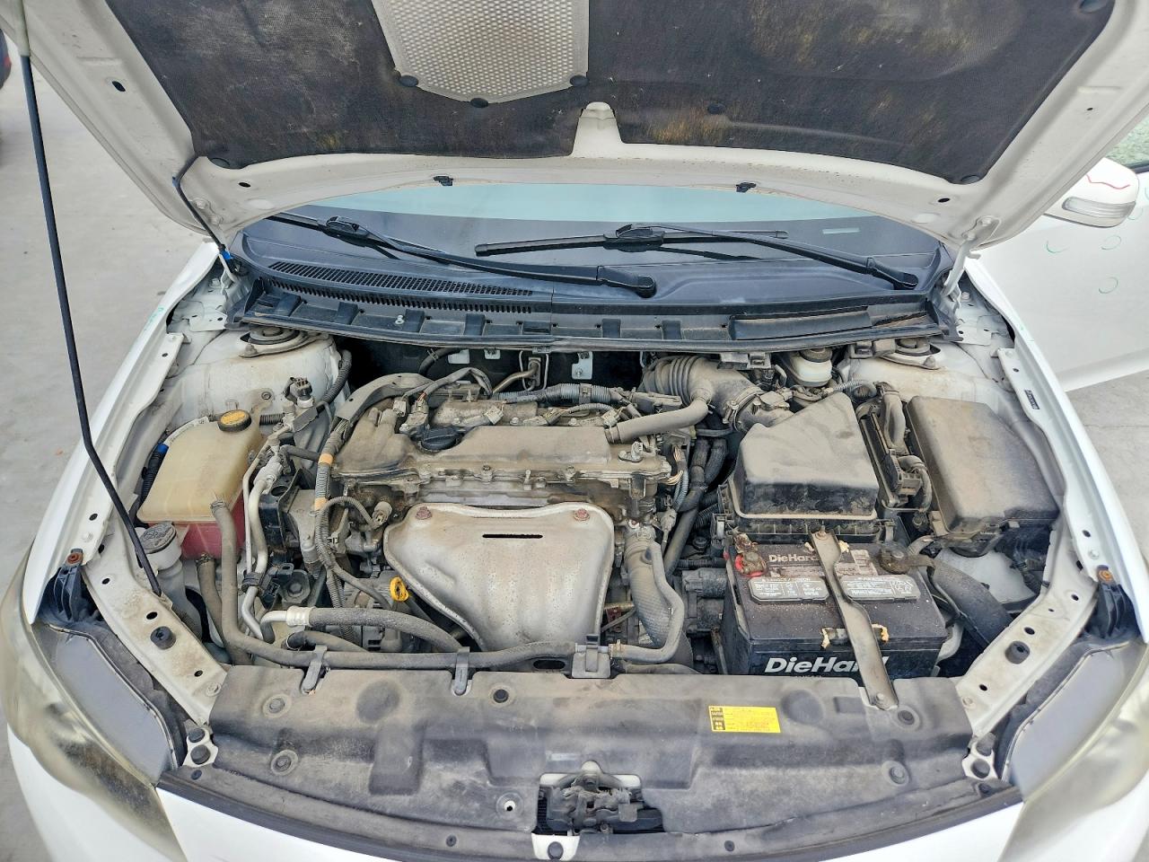 Scion TC Base