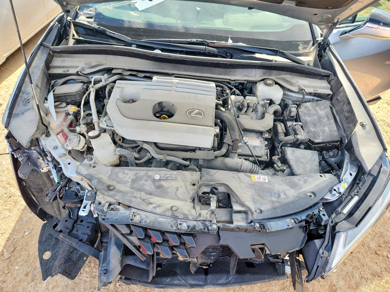 Lexus Other Premium
