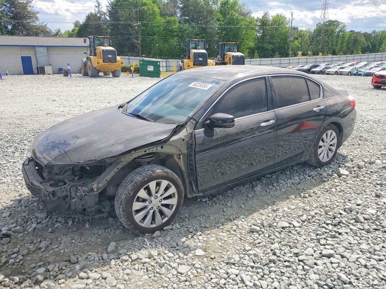 Salvage Honda Accord Image