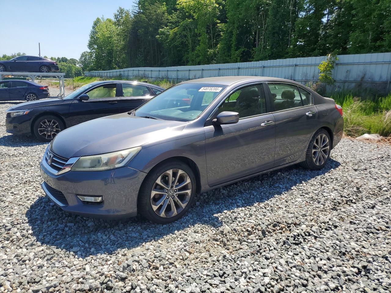 Salvage Honda Accord Image