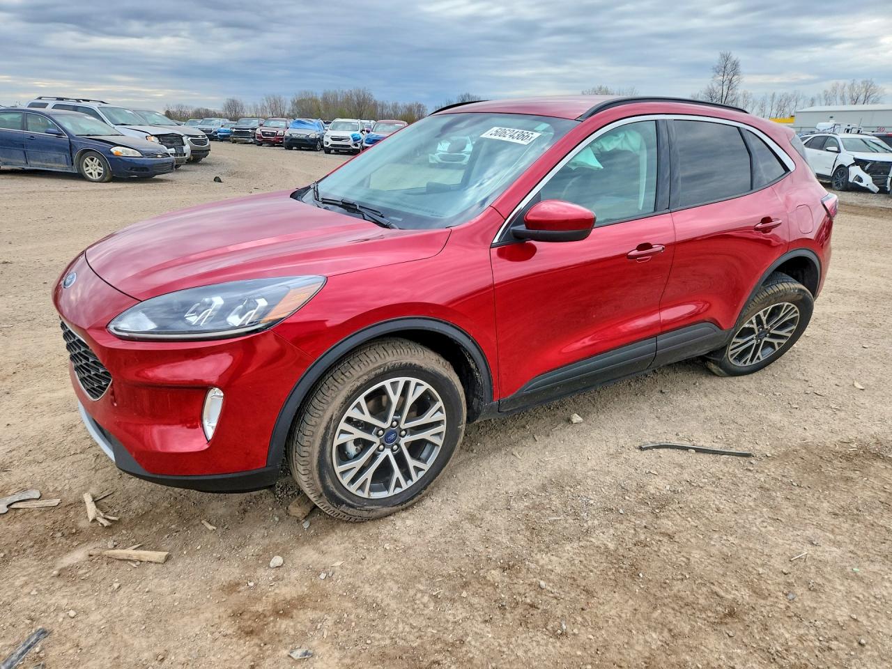 Salvage Ford Escape Image