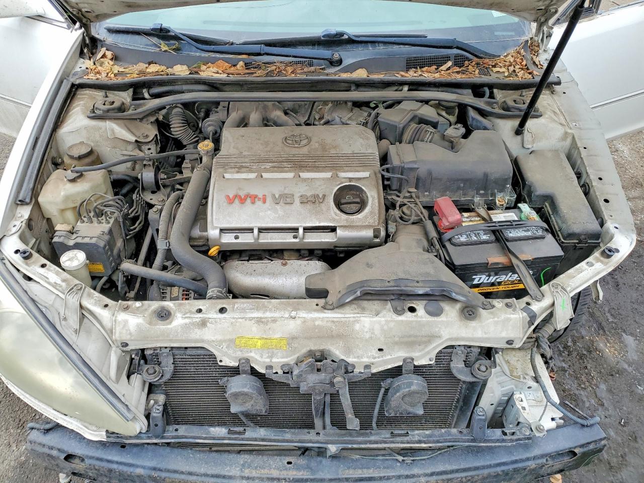 Toyota Camry Xle V6