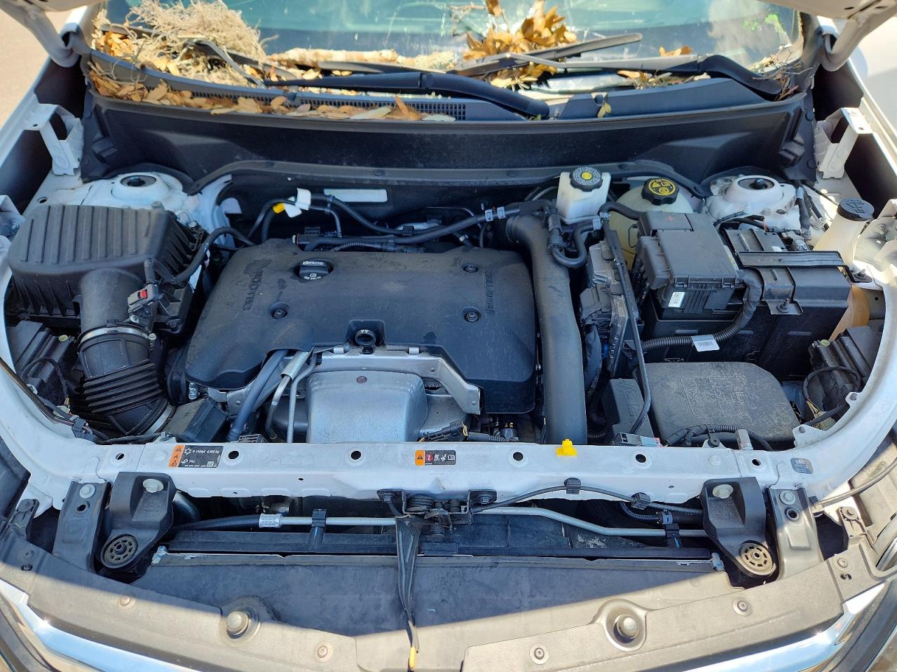 Chevrolet Equinox Premier