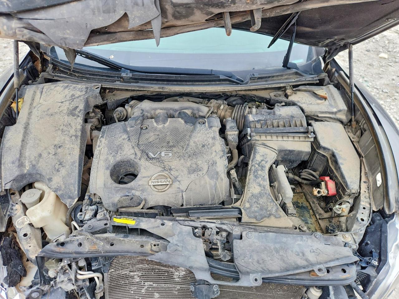 Nissan Maxima 3.5 S