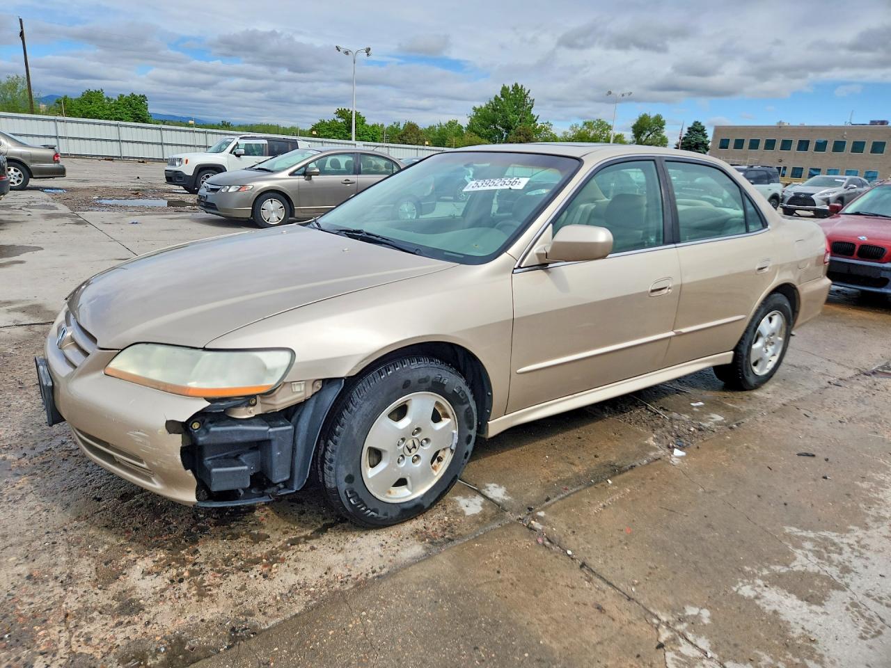 Salvage Honda Accord Image