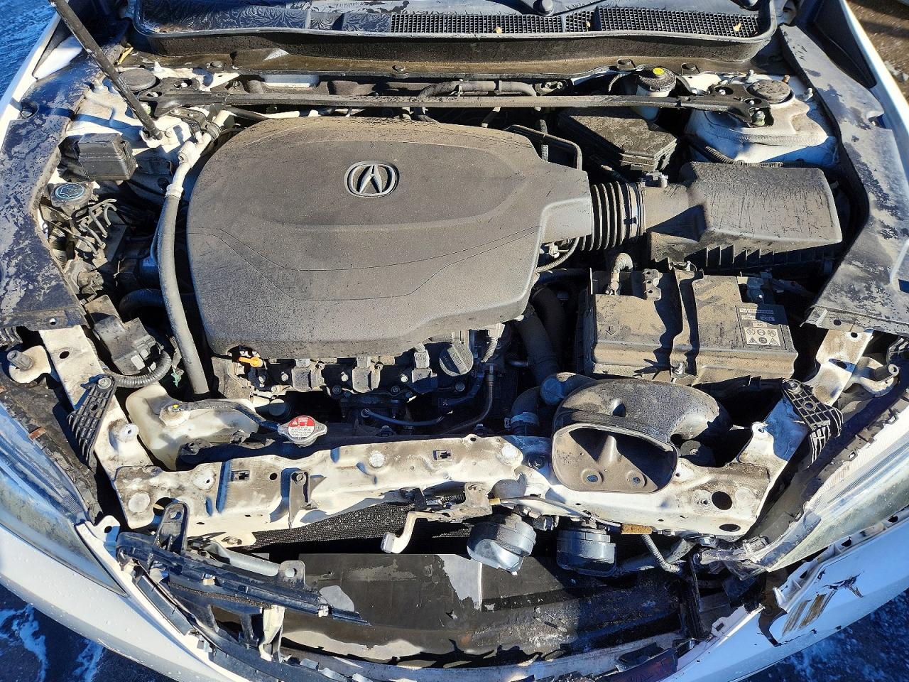 Acura TLX