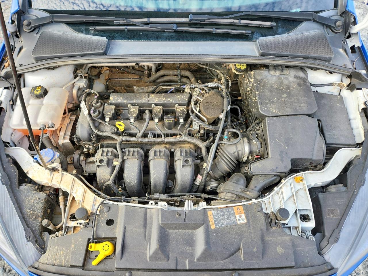 Ford Focus Se
