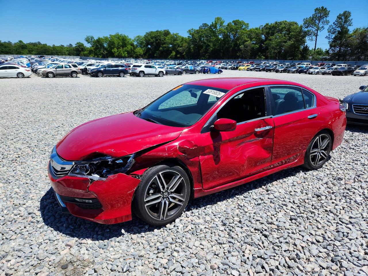 Salvage Honda Accord Image