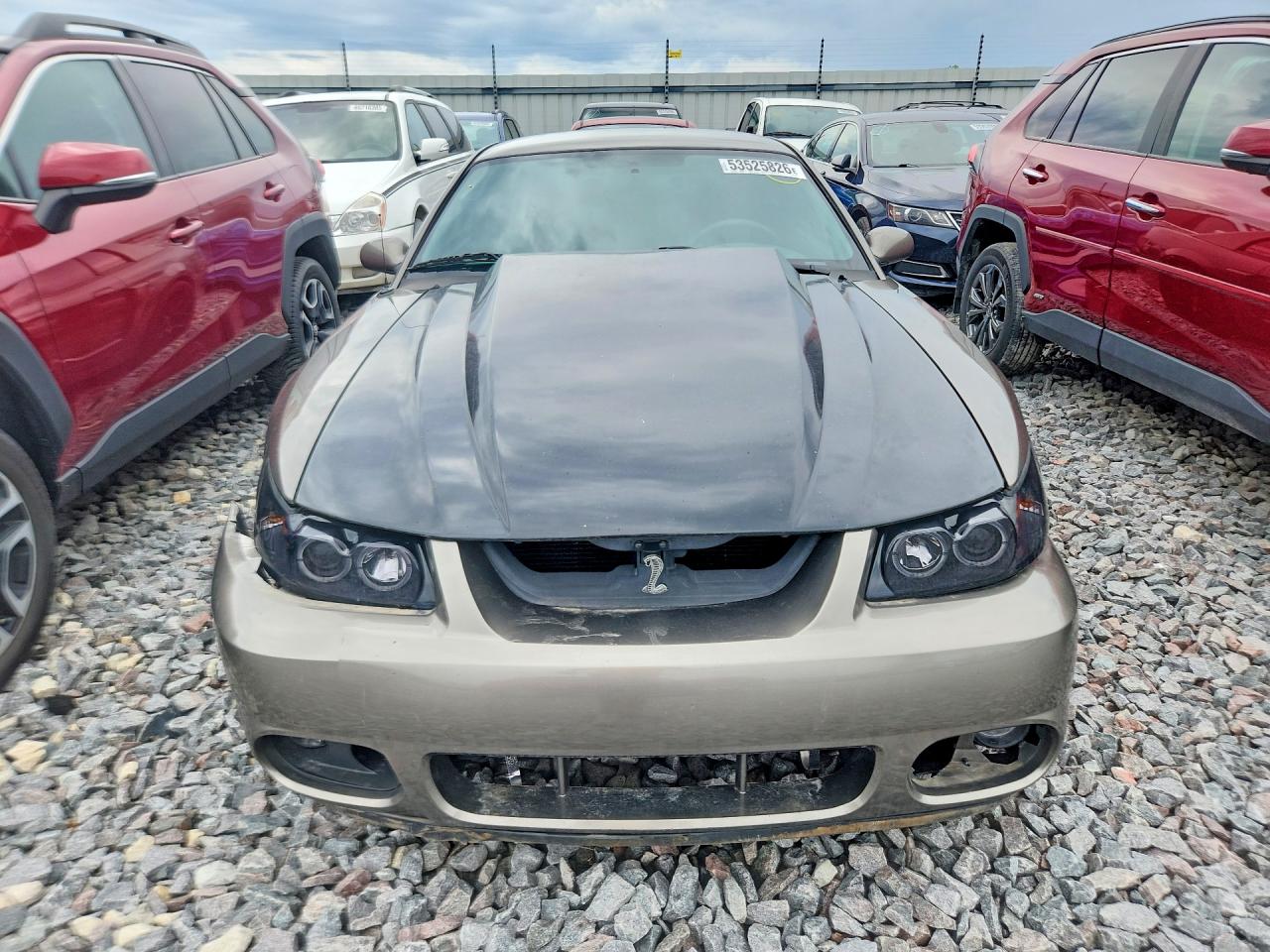 Ford Mustang Cobra Svt