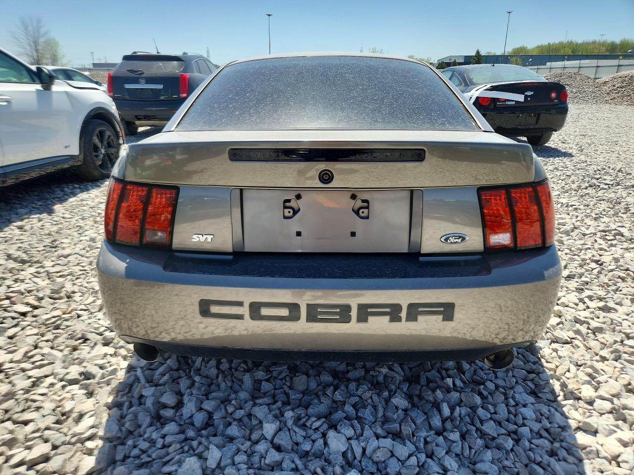 Ford Mustang Cobra Svt