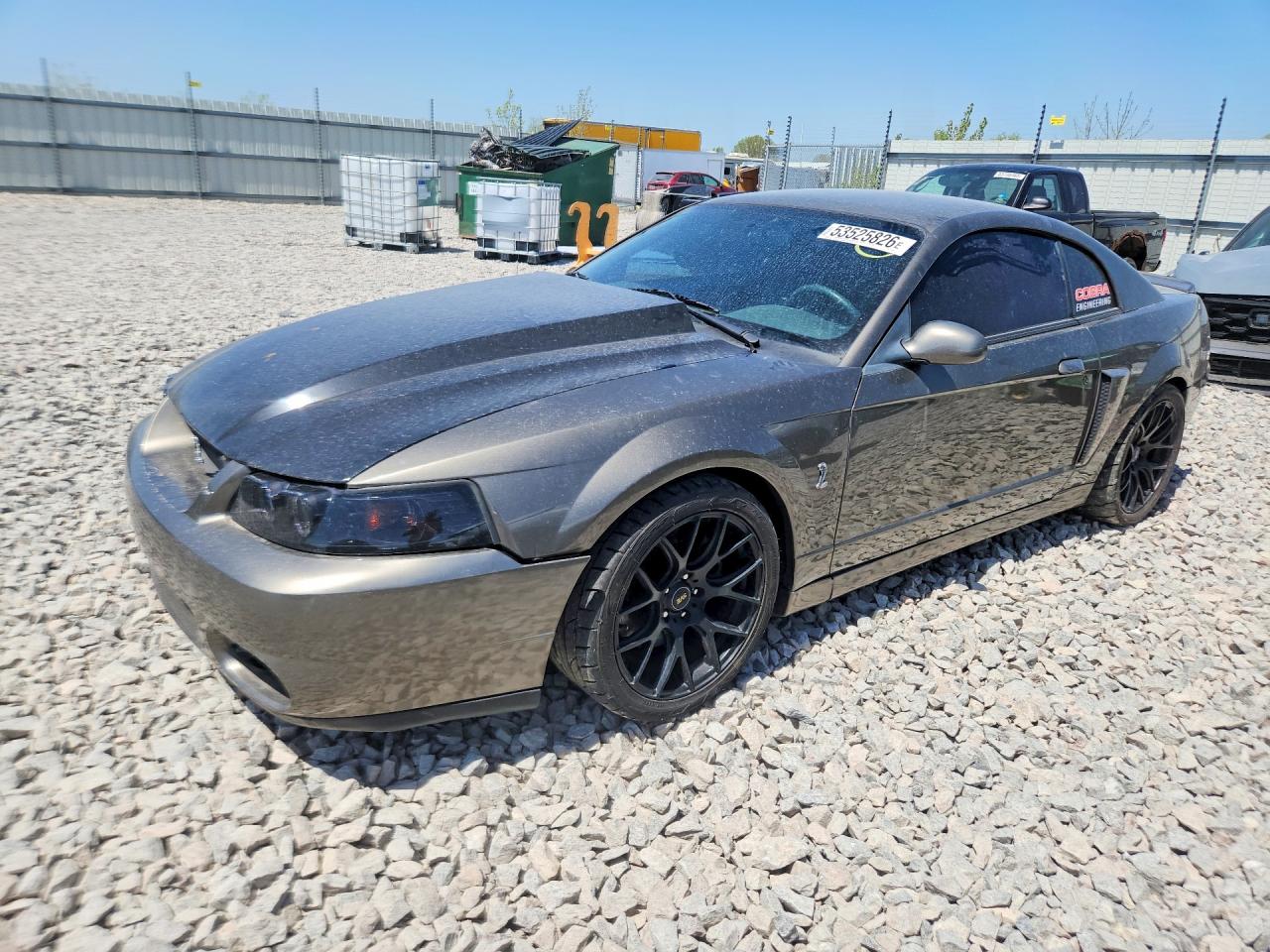 Salvage Ford Mustang Image