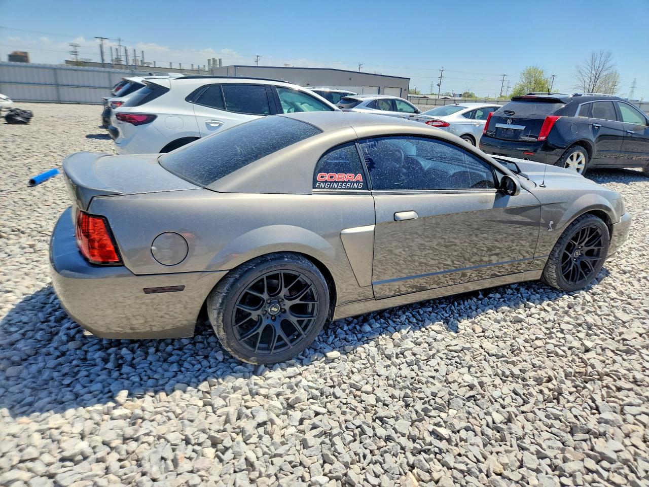 Ford Mustang Cobra Svt