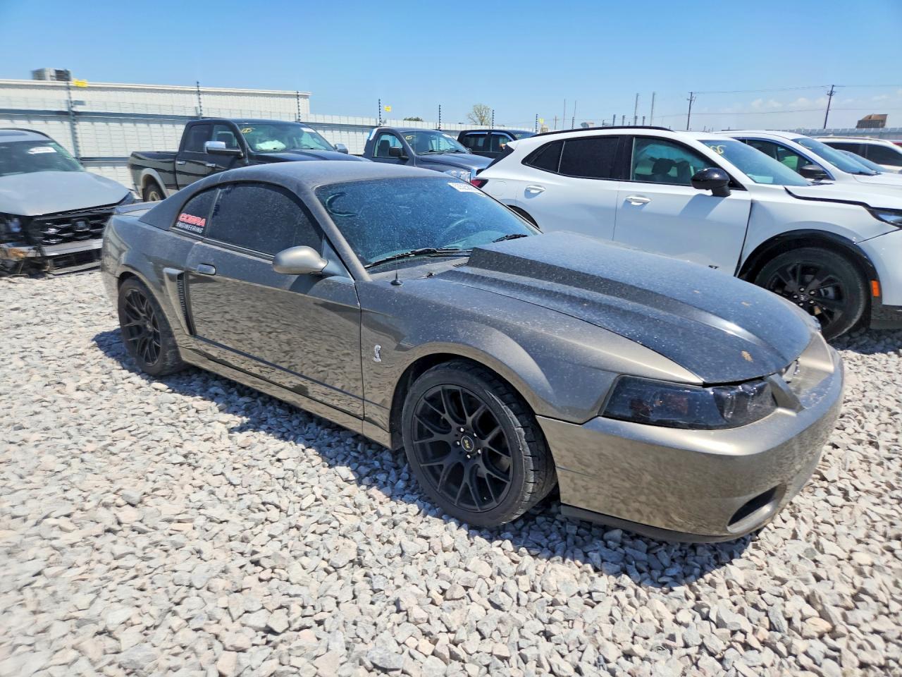 Ford Mustang Cobra Svt