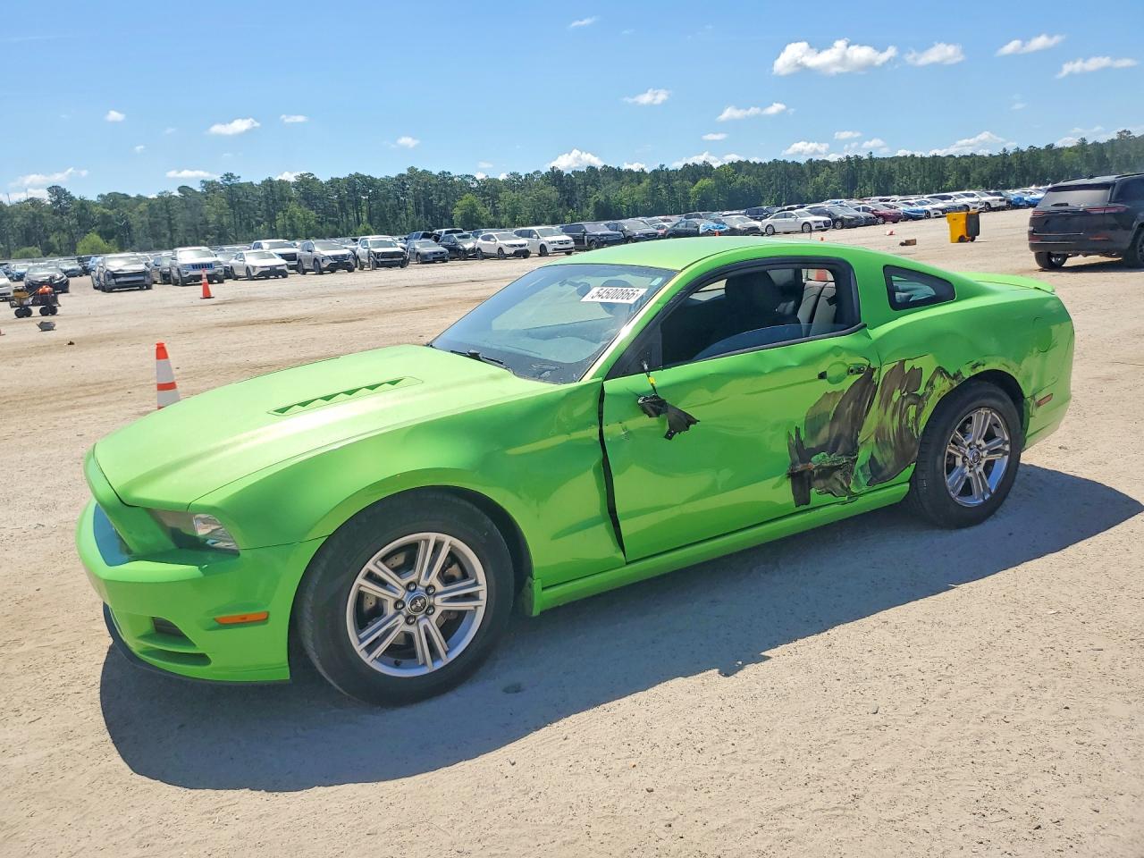 Salvage Ford Mustang Image