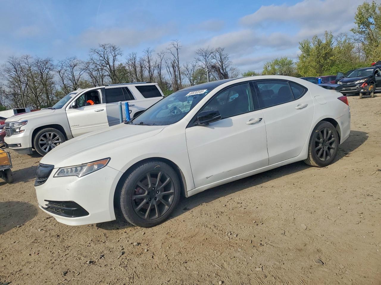 Salvage Acura TLX Image