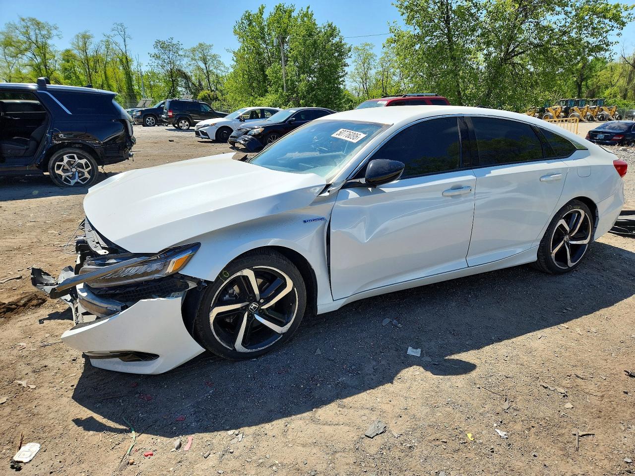 Salvage Honda Accord Image