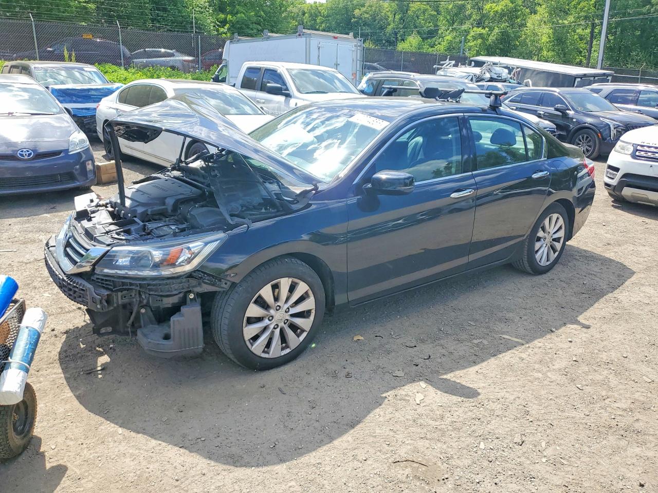 Salvage Honda Accord Image