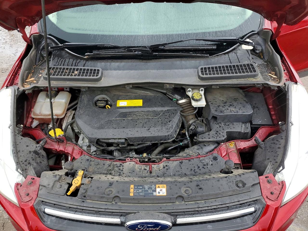 Ford Escape Se