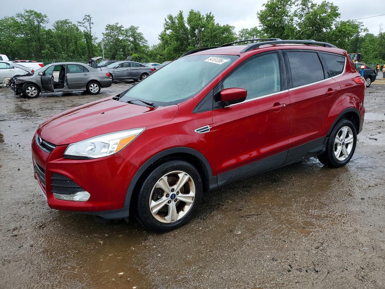 Salvage Ford Escape Image