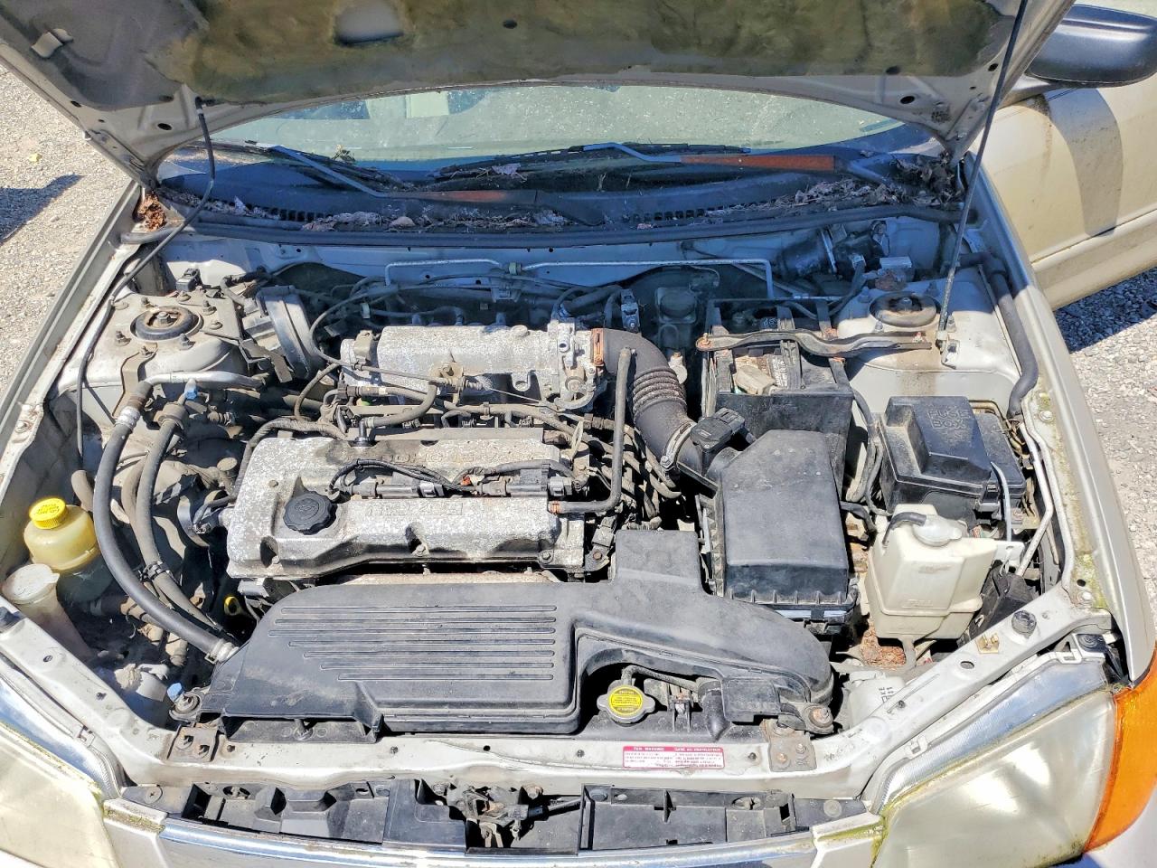 Mazda Protege Dx