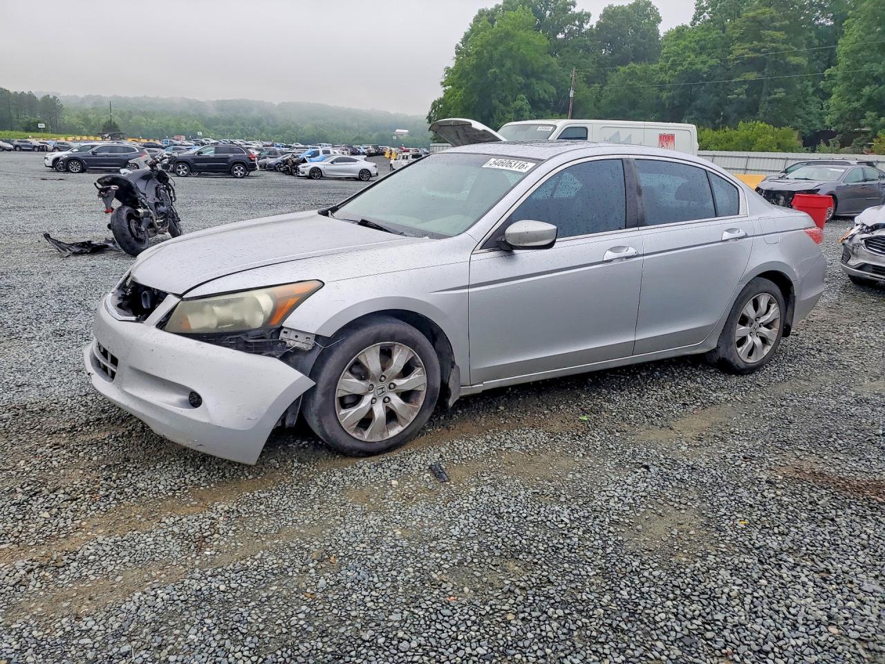 Salvage Honda Accord Image