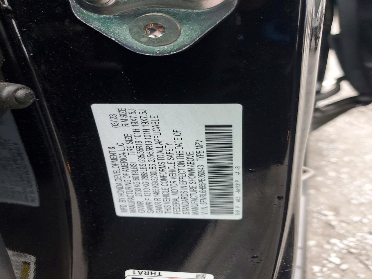 Honda Odyssey Elite