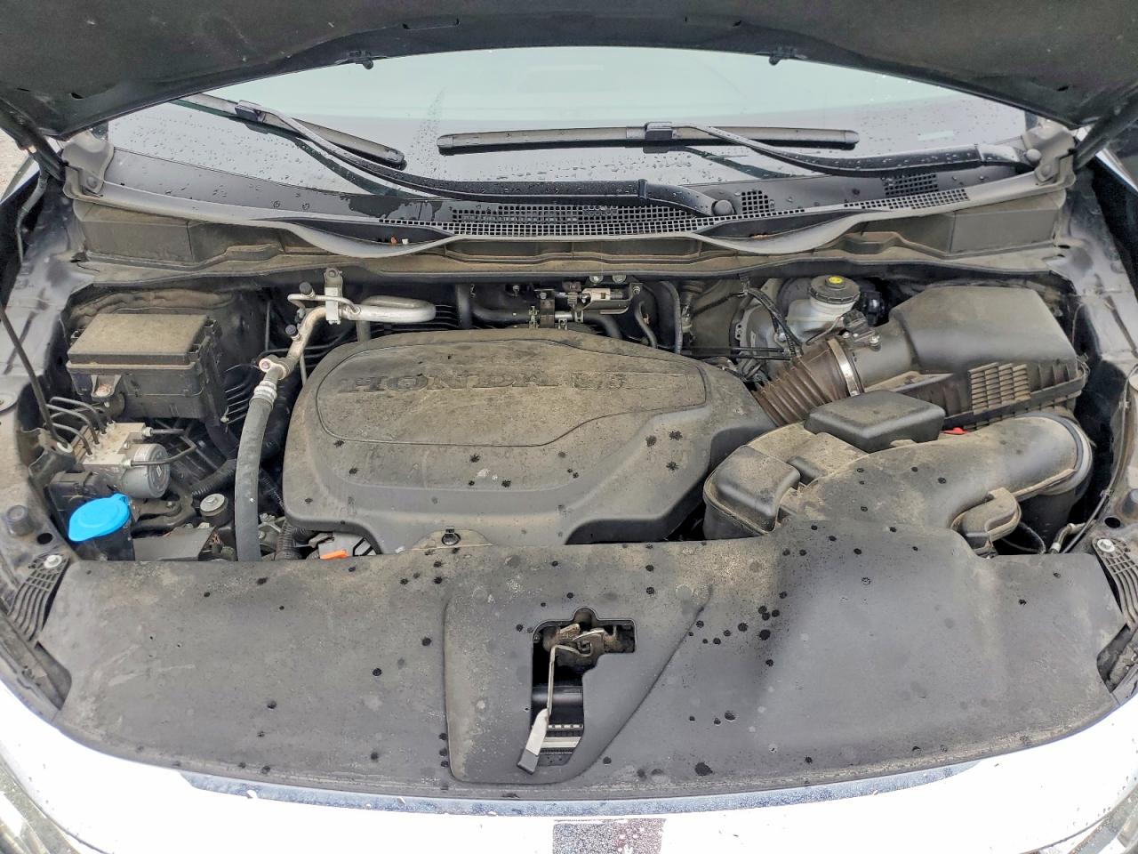Honda Odyssey Elite