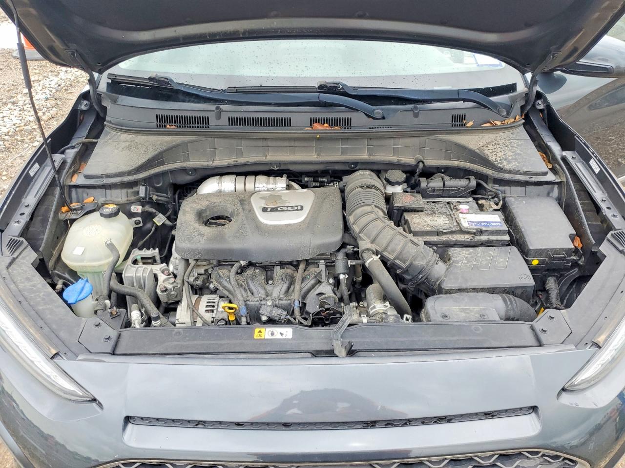 Hyundai KONA Limited