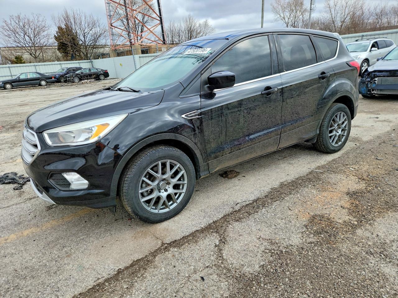Salvage Ford Escape Image