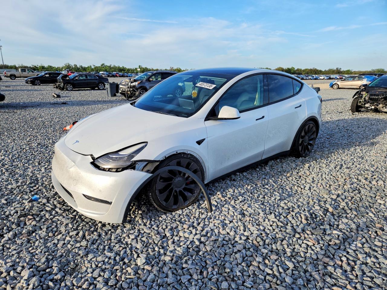 Salvage Tesla Model Y Image