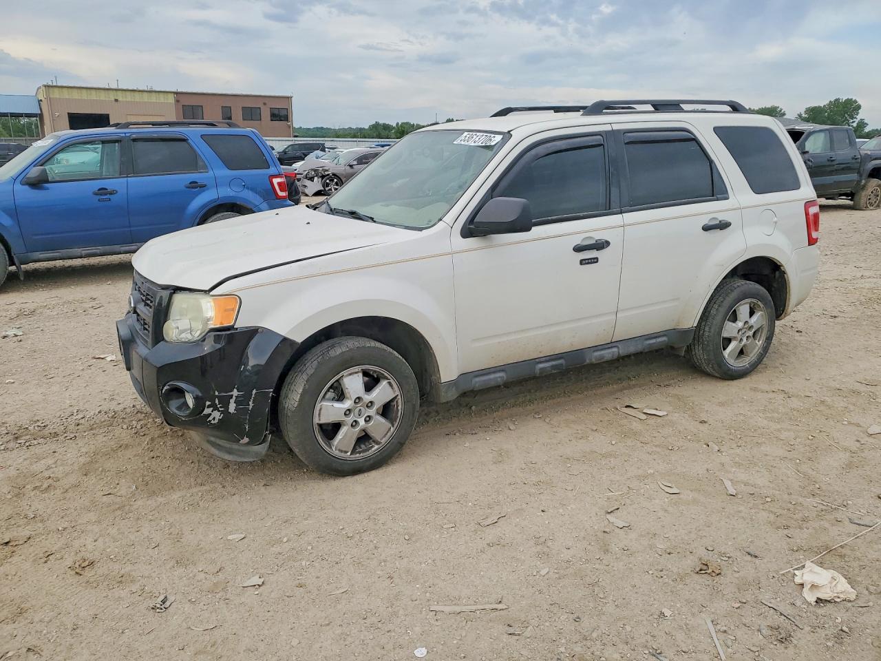 Salvage Ford Escape Image