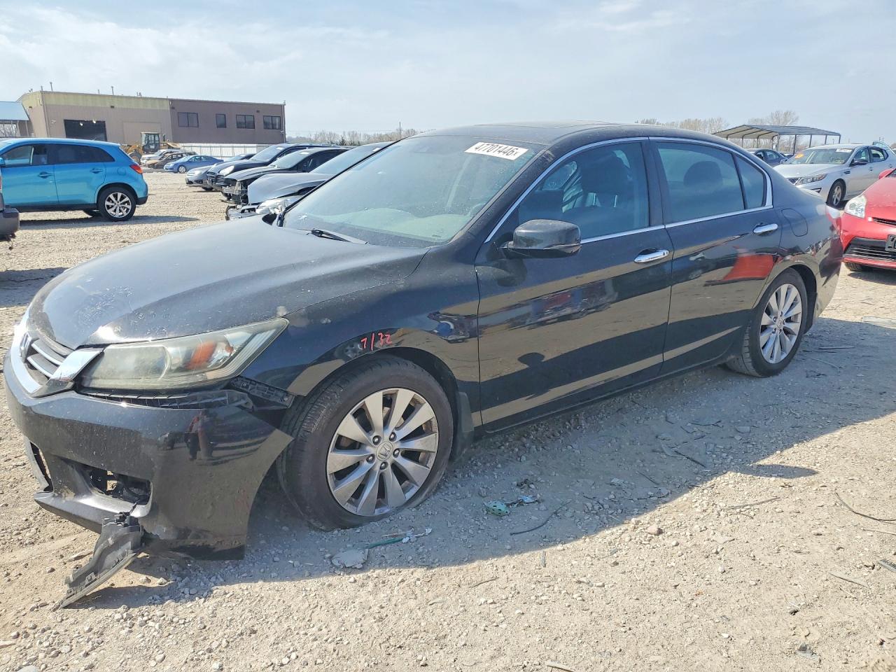 Salvage Honda Accord Image