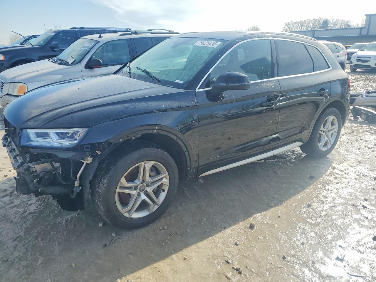 Salvage Audi Q5 Image