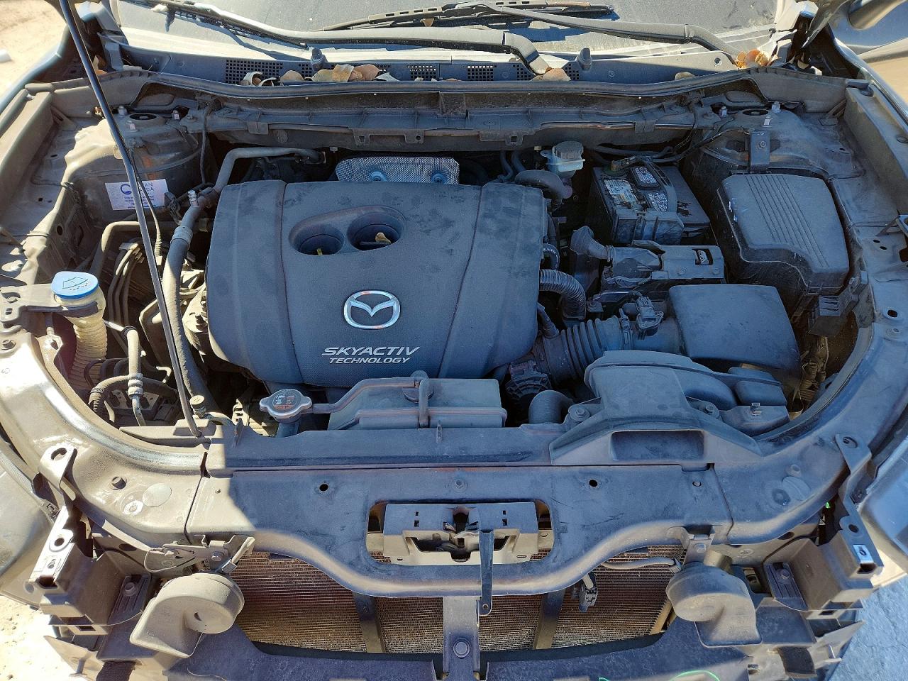 Mazda Cx Sport