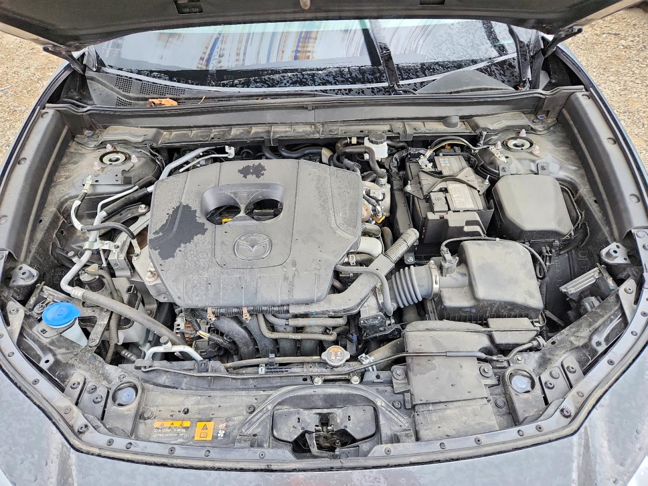 Mazda Cx Preferred