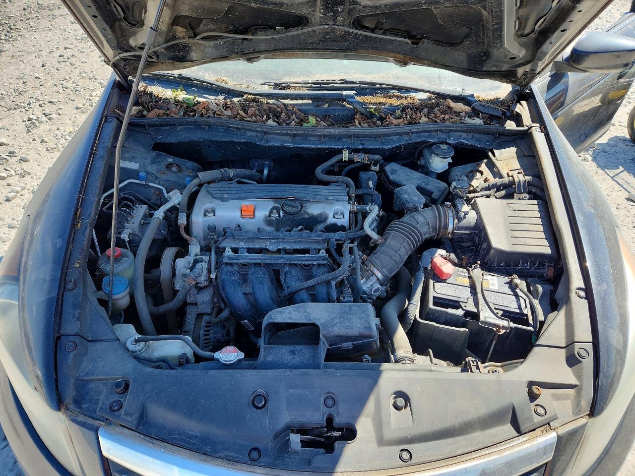 Honda Accord Lxp